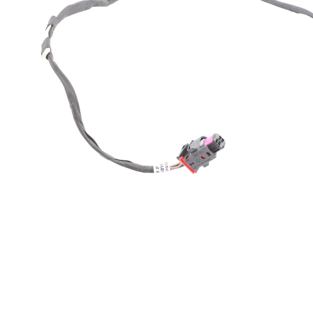 Audi RSQ3 F3 Front Door Wiring Harness Loom Cable Left N/S 83A971030QL