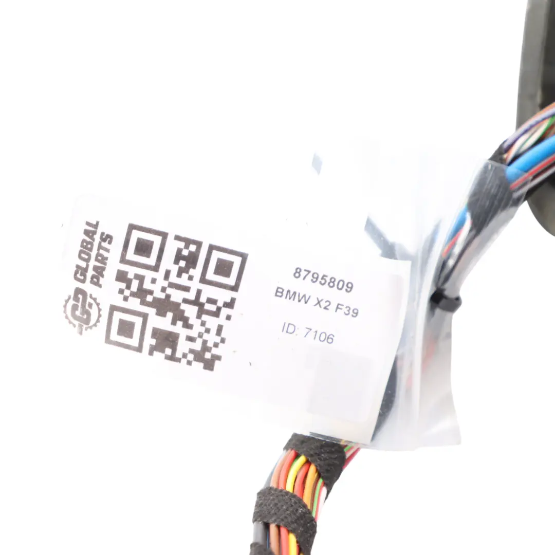 BMW X2 F39 Front Door Wiring Harness Loom 8795809 