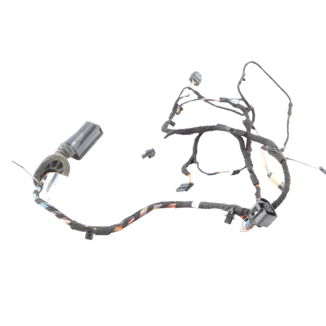 BMW X2 F39 Front Door Wiring Harness Loom 8795809 