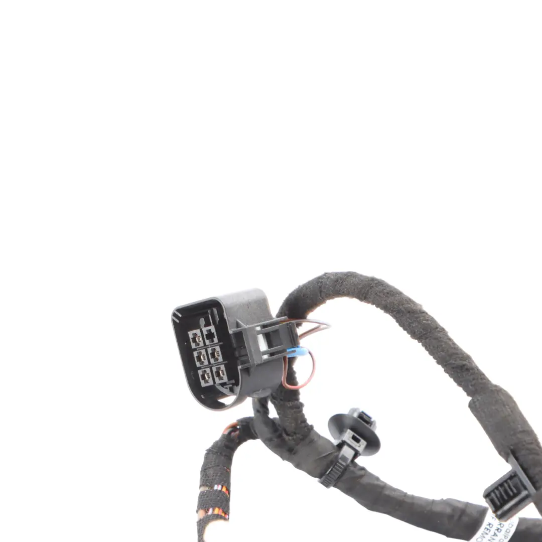 BMW X2 F39 Front Door Wiring Harness Loom 8795809 