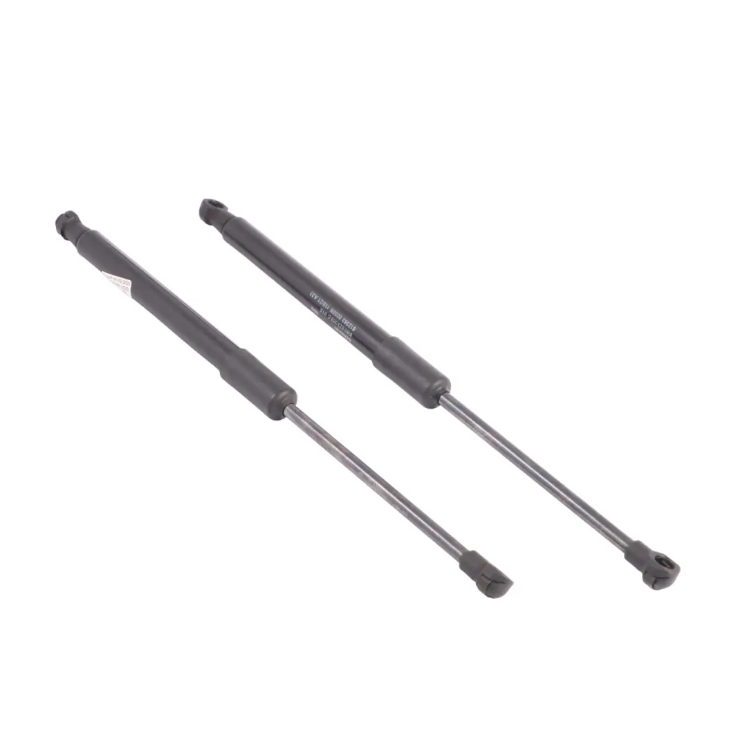 Audi A4 B9 Capó Delantero Elevador Gas Strut Izquierda Derecha Set 8W0823359C