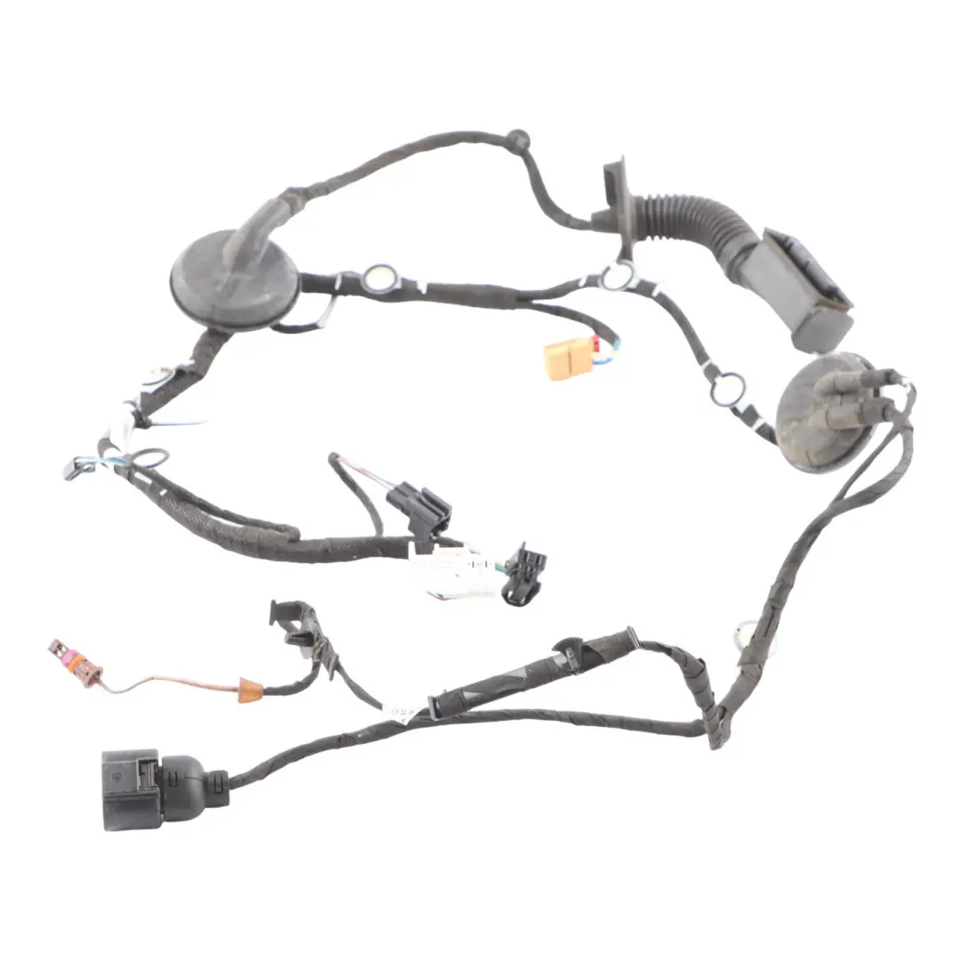 Audi A4 B9 Rear Left Right N/O/S Door Wiring Loom Harness 8W0971687AQ