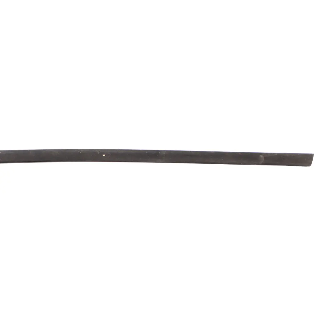 BMW F06 Rear Door Outer Weather Strip Moulding Trim Right O/S High Gloss 7291916