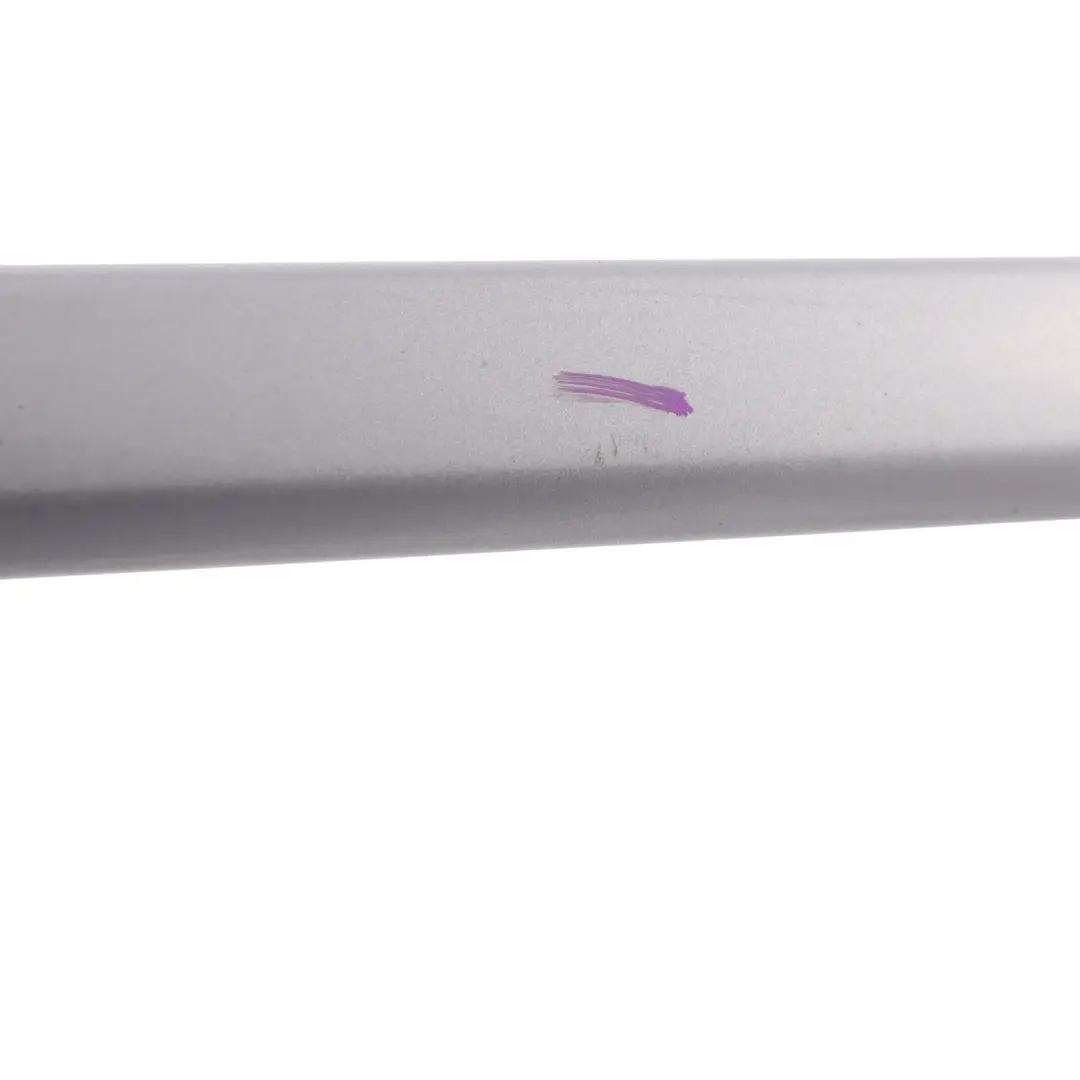 Audi A4 B7 Moulding Strip Front Left Door N/S Akoya Silver Metallic - Y7H