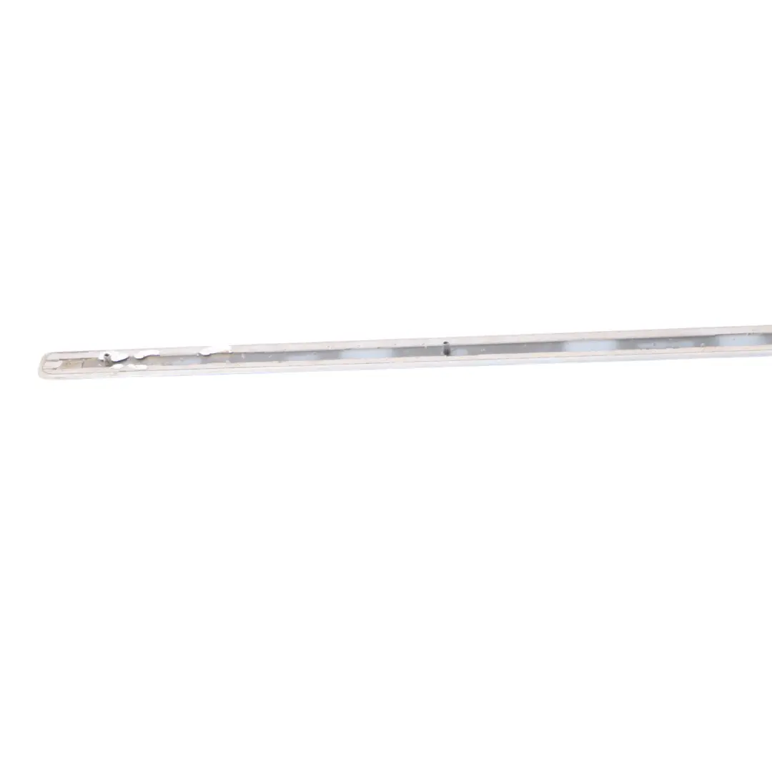 Audi A4 B7 Moulding Strip Front Left Door N/S Akoya Silver Metallic - Y7H