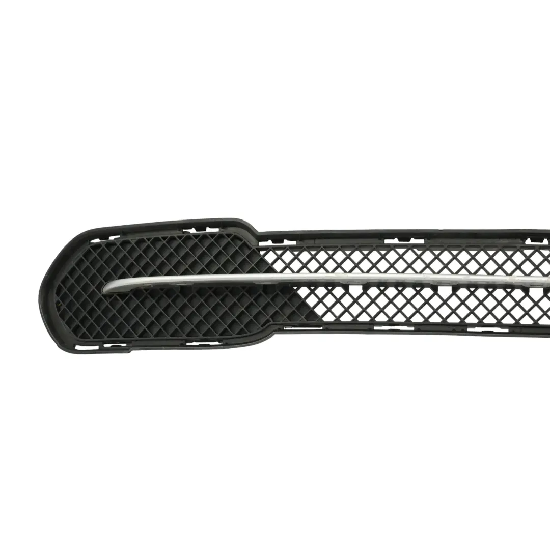 BMW X1 E84 X Line Paraurti Anteriore Centrale Griglia Inferiore 2991506