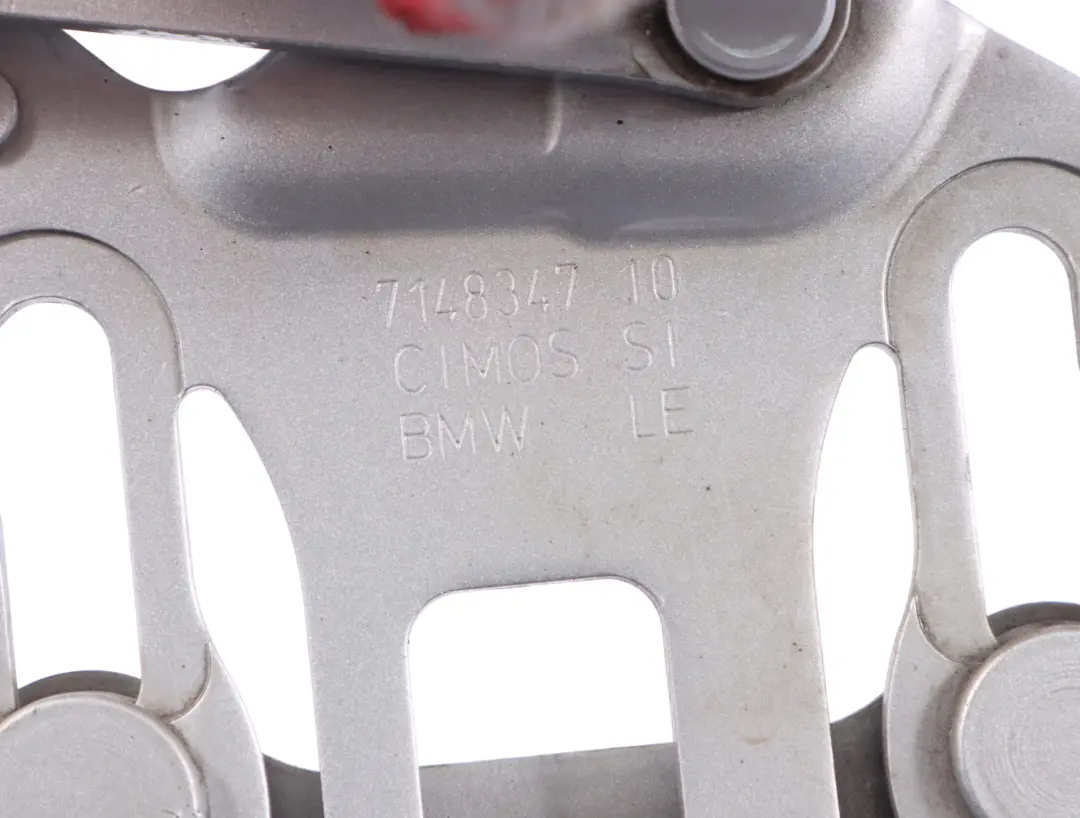Hood Bonnet Hinge BMW X5 X6 E70 E71 Left N/S Titansilber Metallic - 354 7198617