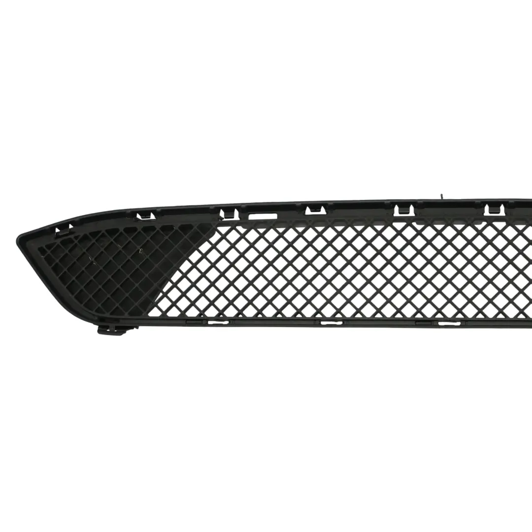 Bmw X1 E84 Front Lower Bumper Center Grille Molding 7307792