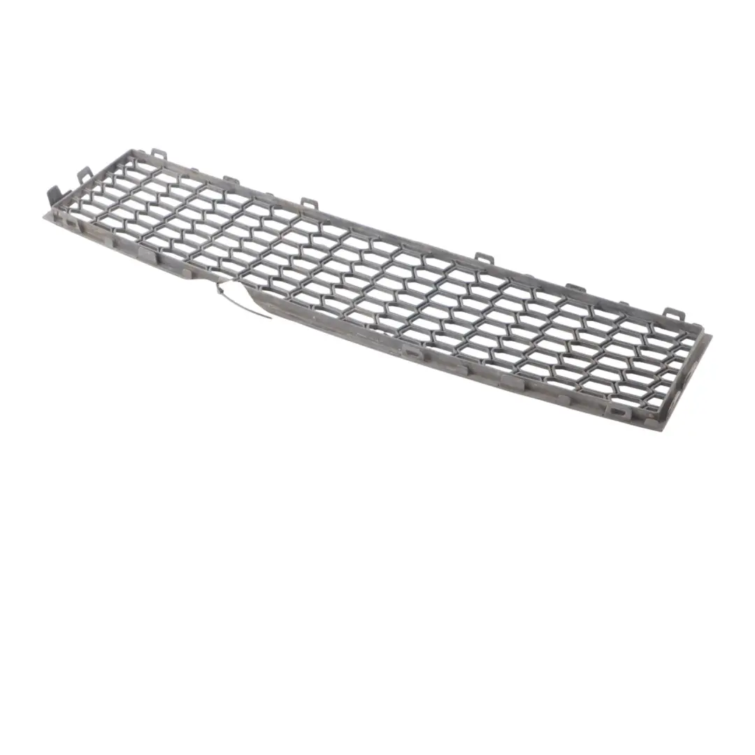 BMW F07 GT Front Bumper Center Lower Air Inlet Radiator Grille 8050020