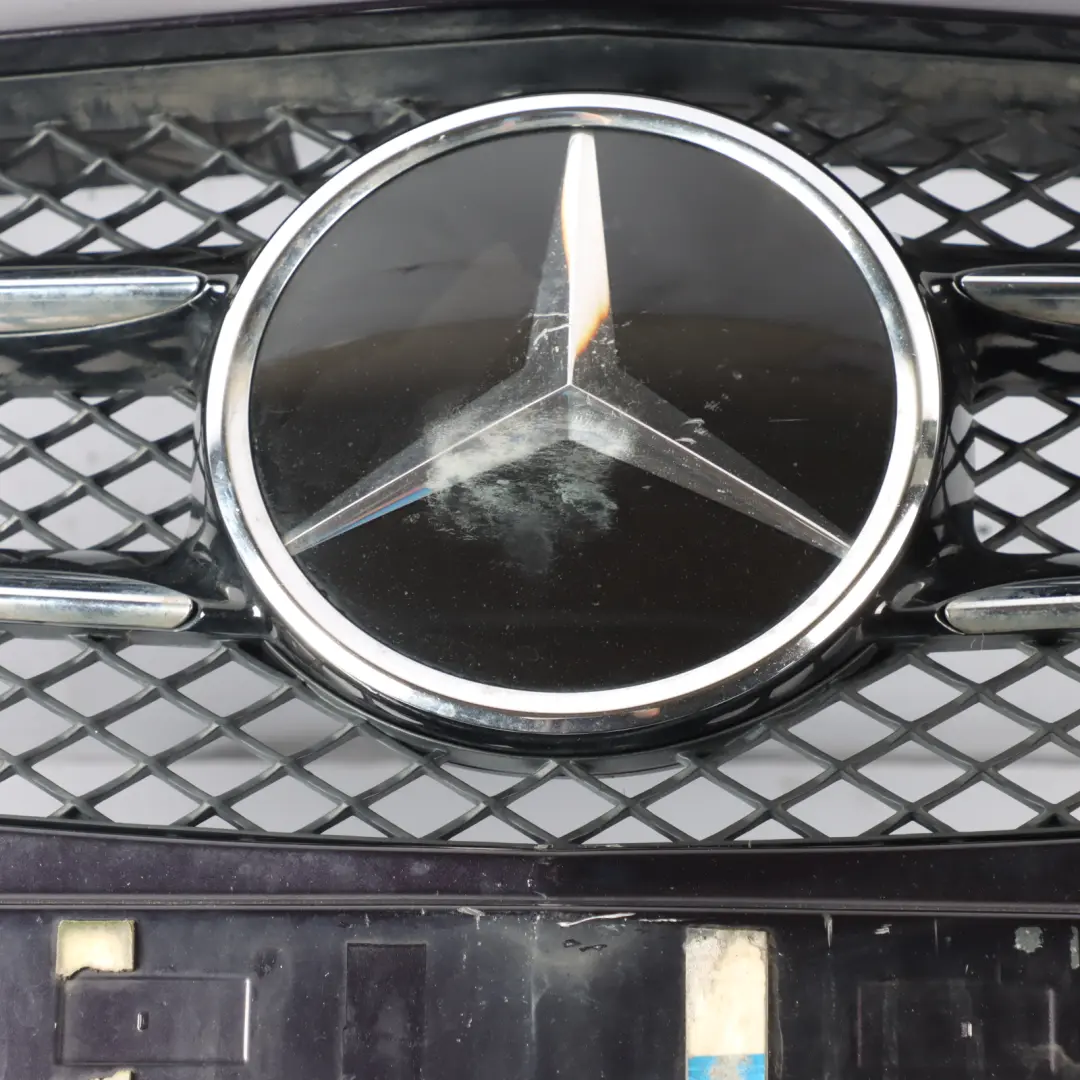 Mercedes W176 Front Bumper Trim Panel Northern Lights Violet Metallic - 592