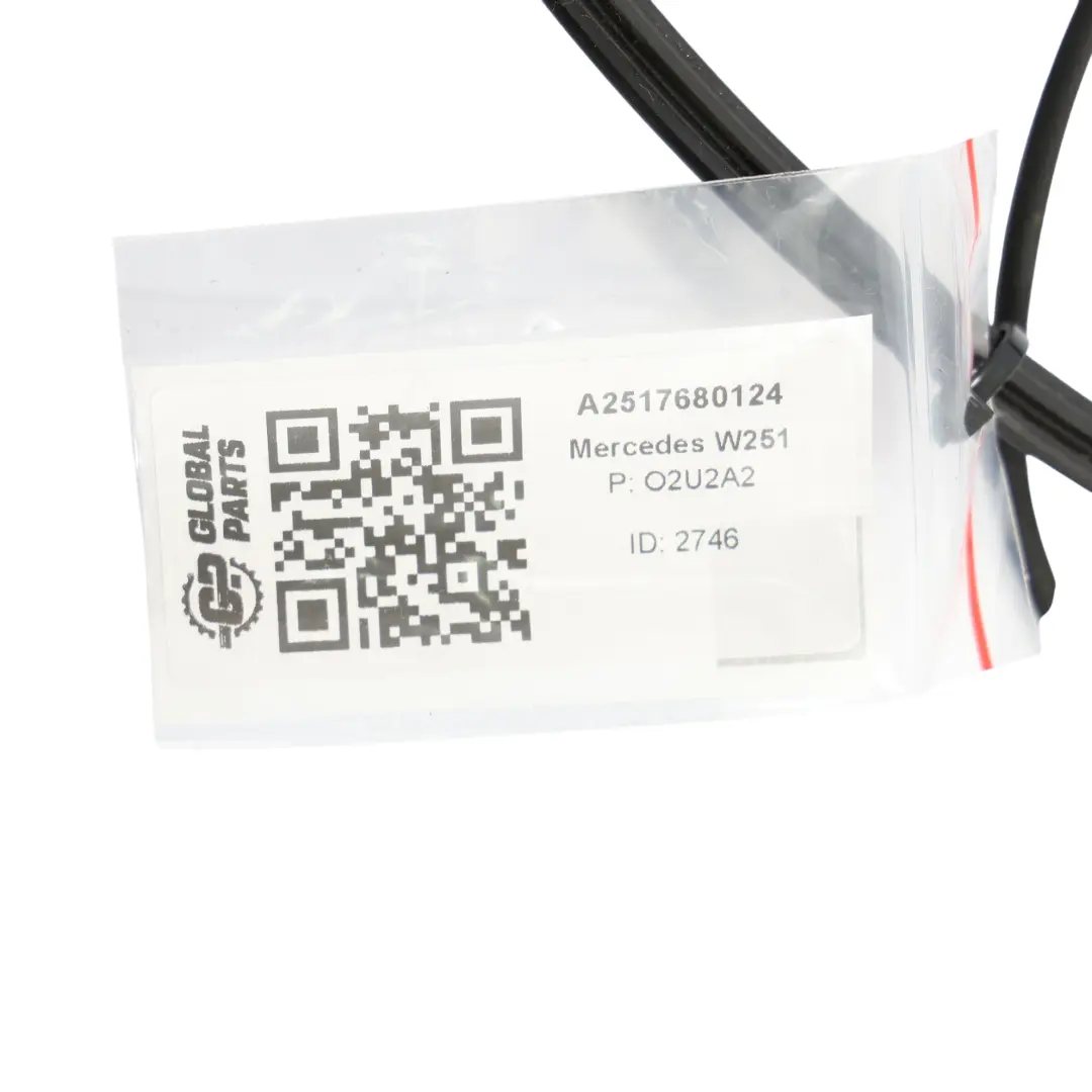 Mercedes W251 Joint D'Étanchéité De Vitre Arrière Gauche A2517680124