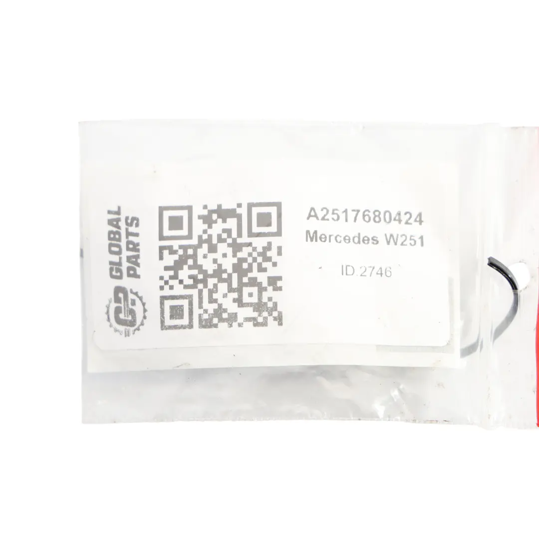 Mercedes W251 Uszczelka Tylnej Szyby Karoseryjnej Lewy A2517680424