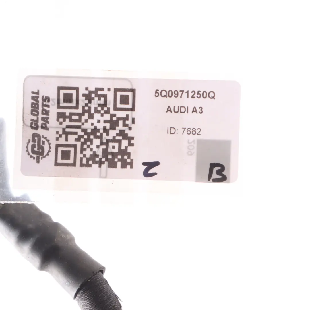 Audi A3 S3 8V Negativo Terminal Batería Cable De Tierra Cableado 5Q0971250Q