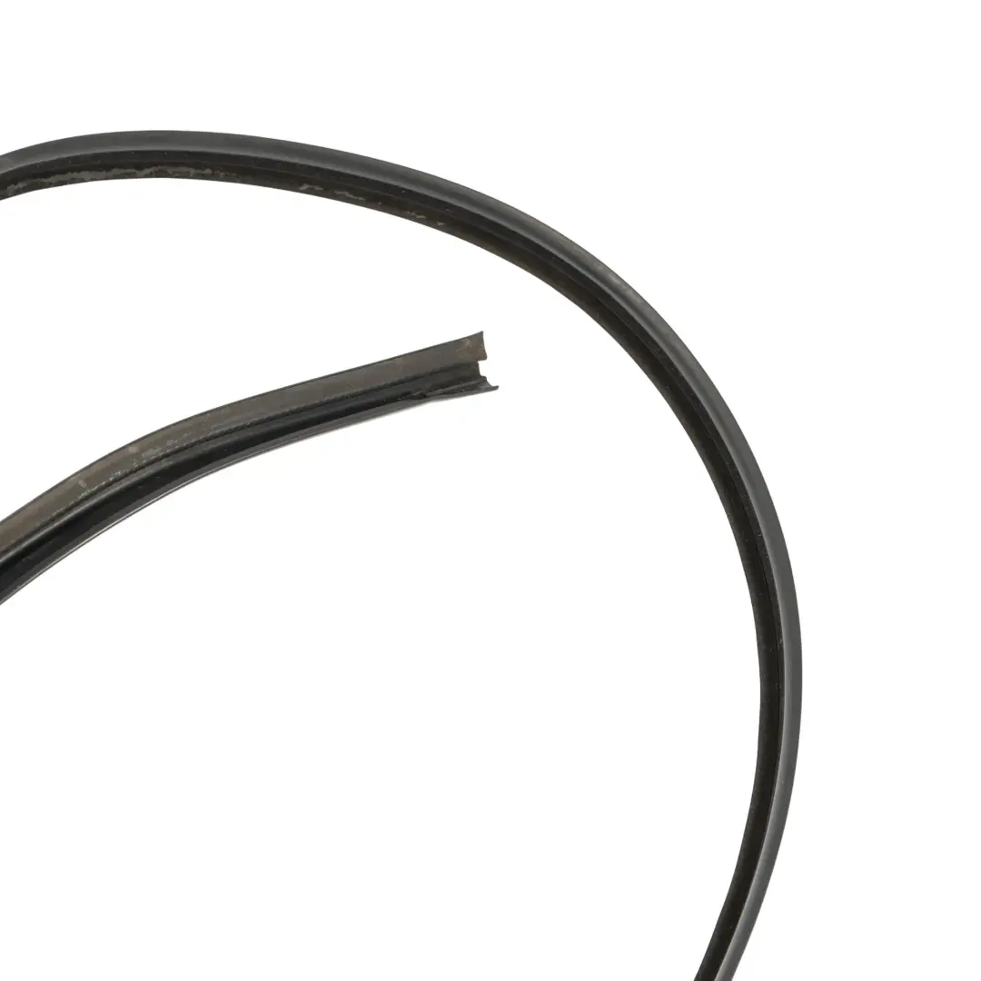 BMW F02 Tür Nahtabdichtung Dach Gummidichtung Dichtung Hinten Rechts 7179124