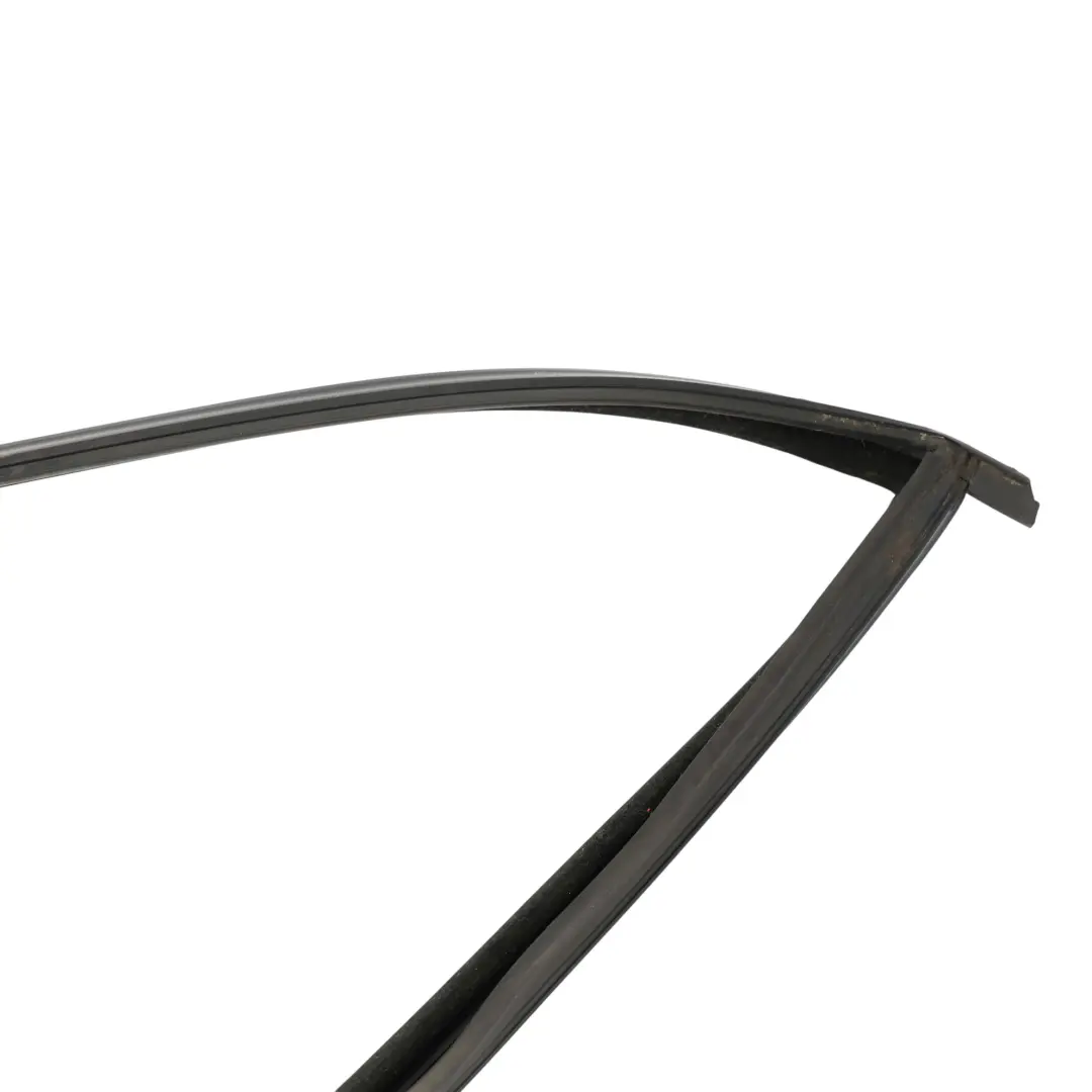 BMW F02 Door Window Guide Rubber Sealing Gasket Rear Right O/S 7179130
