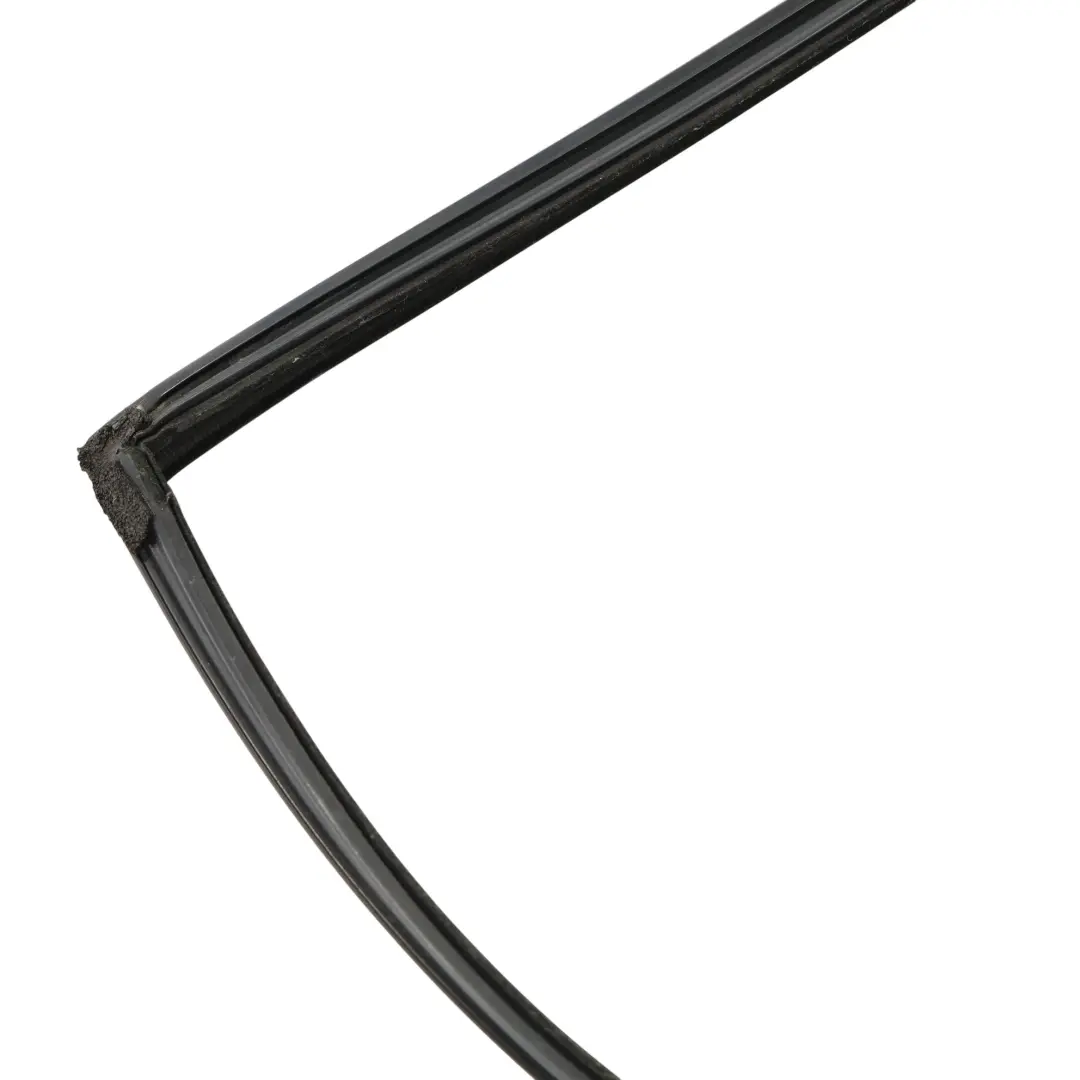 BMW F02 Door Window Guide Rubber Sealing Gasket Rear Right O/S 7179130
