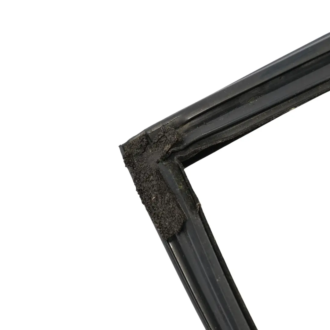 BMW F02 Door Window Guide Rubber Sealing Gasket Rear Right O/S 7179130