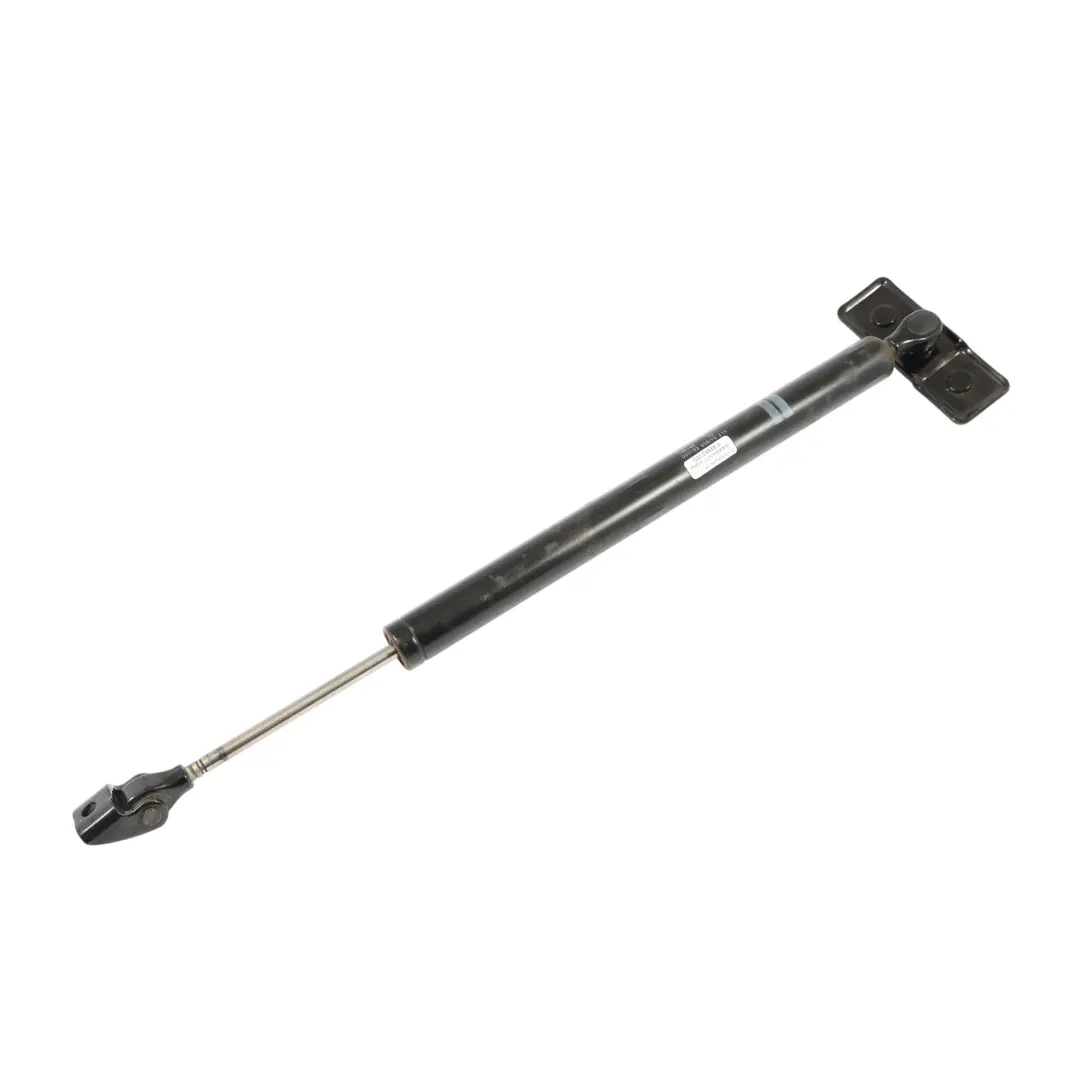 Door Limiter BMW F01 F02 F03 F04 Damper Strut Rear Right O/S  - SKU 7191286 - Part number 7191286