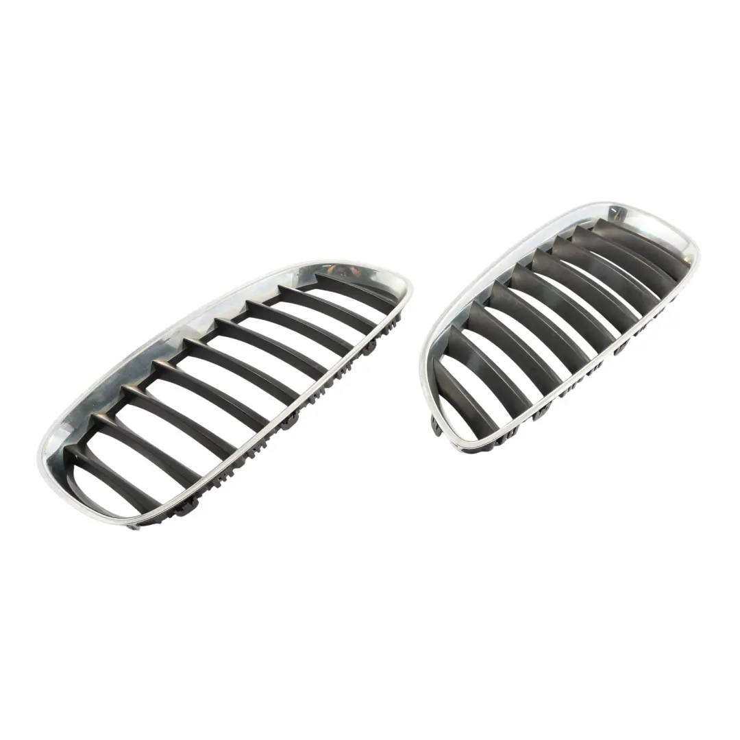 BMW E89 Front Stoßstange Kühler Abdeckung Kühler Grill Niere Rechts SET 7191510
