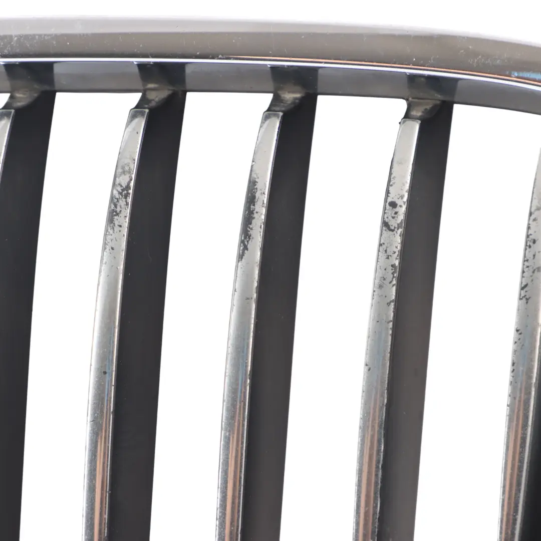 BMW F07 GT Front Bumper Grille Hood Left N/S 7200167