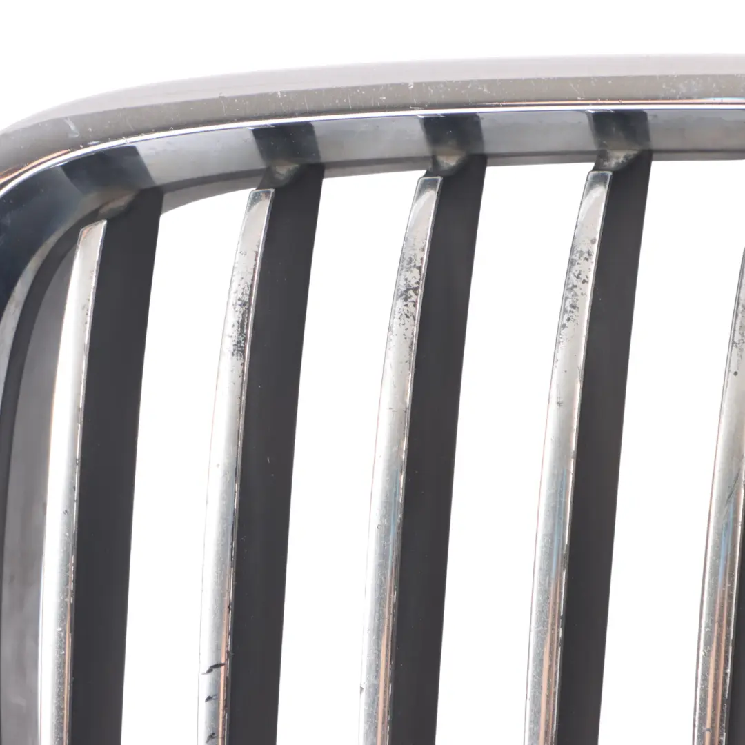 BMW F07 GT Front Bumper Grille Hood Left N/S 7200167