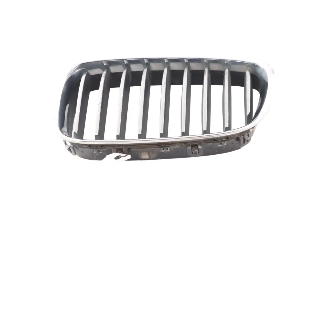 BMW F07 GT Front Bumper Grille Hood Left N/S 7200167