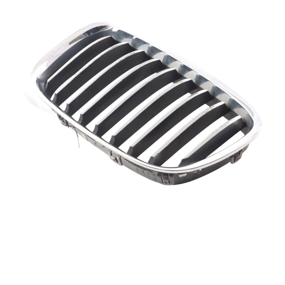 BMW F07 GT Front Bumper Grille Hood Left N/S 7200167