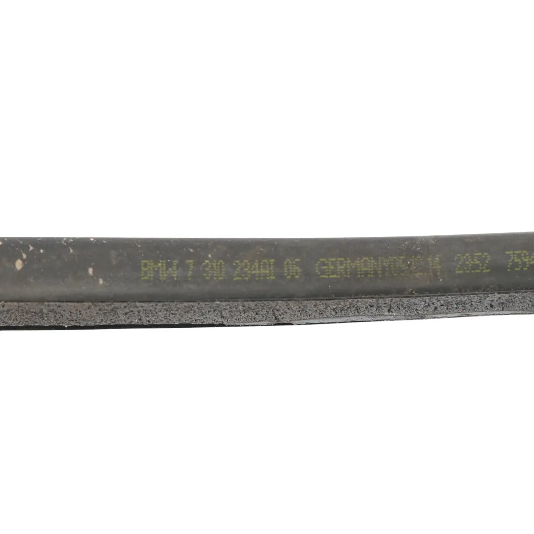 BMW F36 Vordere Tür Fuge Gummi Dichtung 7310234