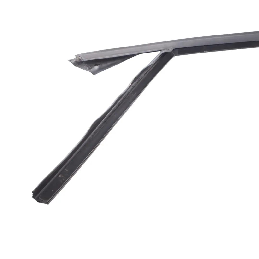 BMW X1 F48 Inner Window Guide Seal Front Door Left N/S 7349635