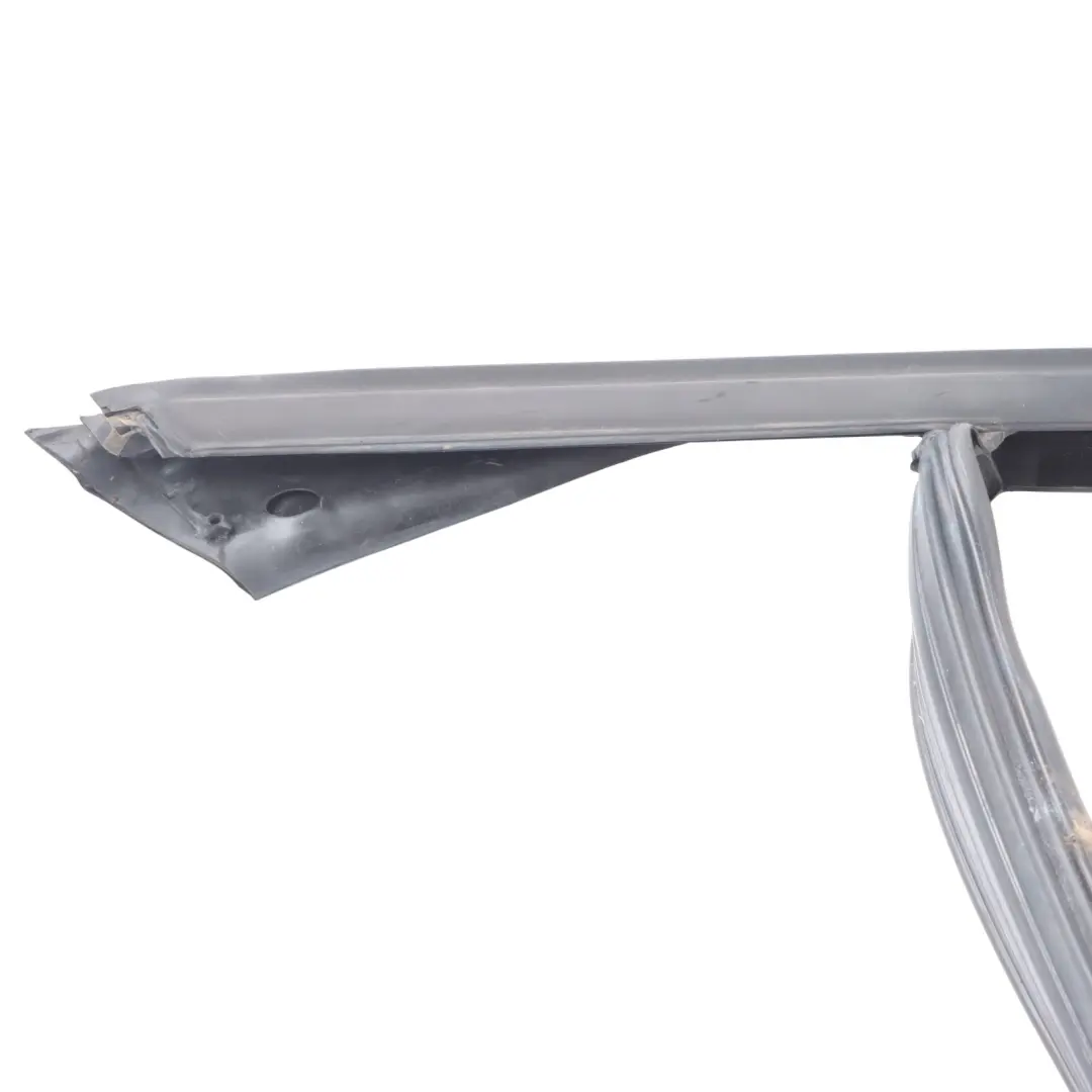 BMW X1 F48 Inner Window Guide Seal Front Door Left N/S 7349635
