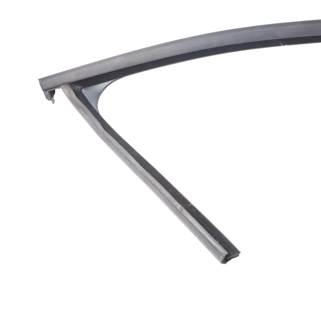 BMW X1 F48 Inner Window Guide Seal Front Door Right O/S 7349636