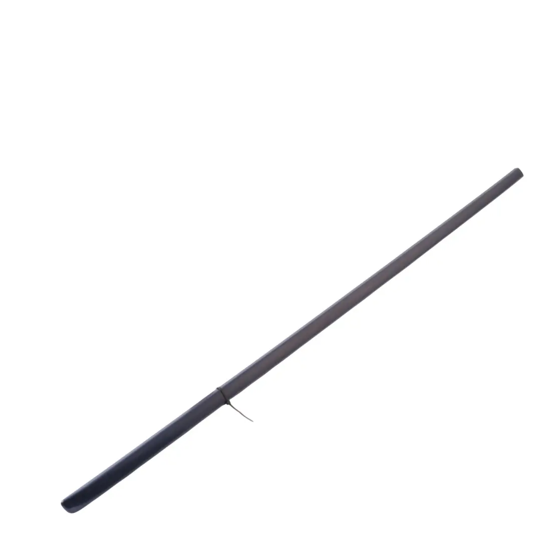 Door Moulding Strip Front Left N/S Trim Strip Tiefseeblau - A76 BMW X5 E70 - SKU 7903857-DSB - Part number 7903857