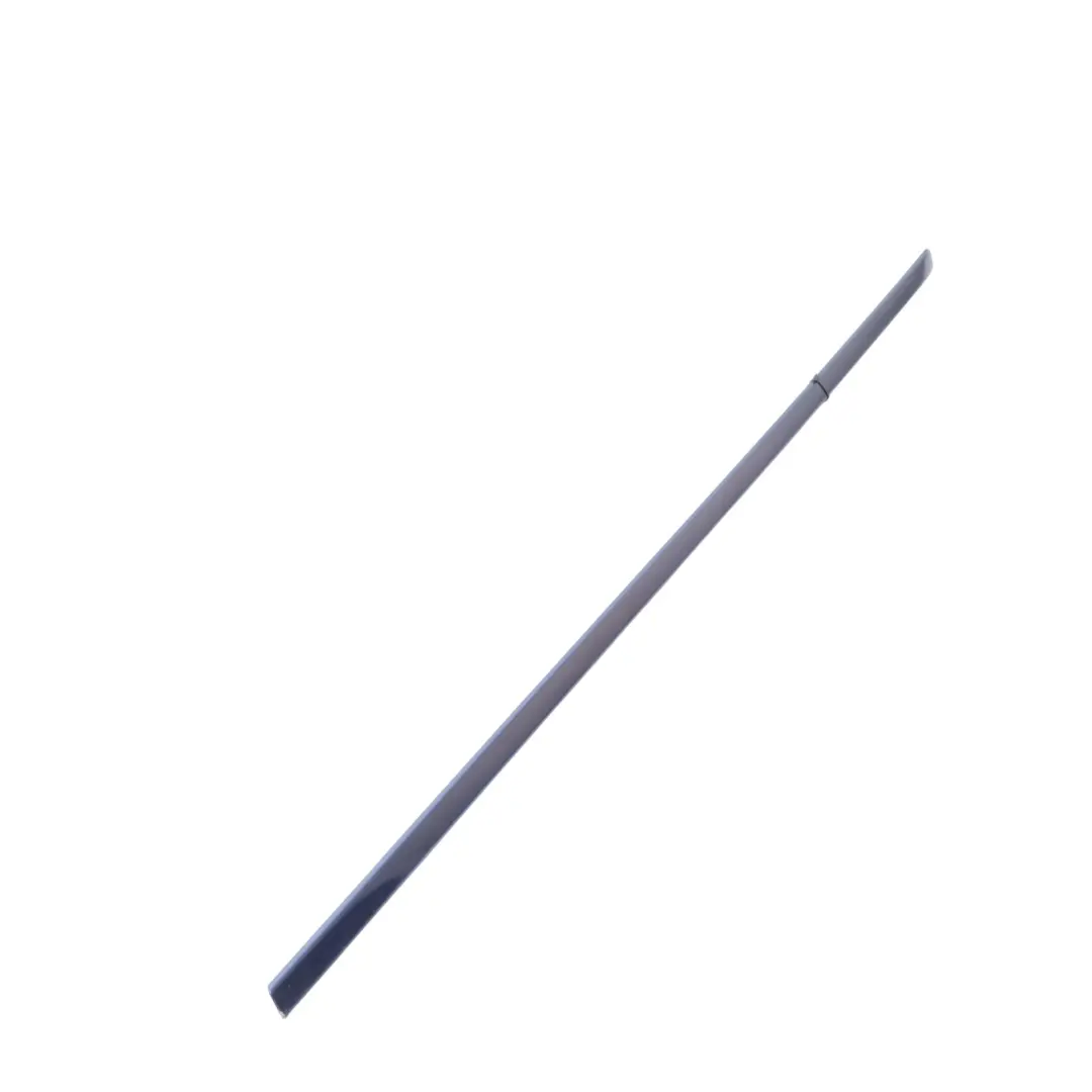 Moulding Trim Strip Front Right Door O/S Tiefseeblau - A76 BMW X5 E70 - SKU 7903858-DSB - Part number 7903858