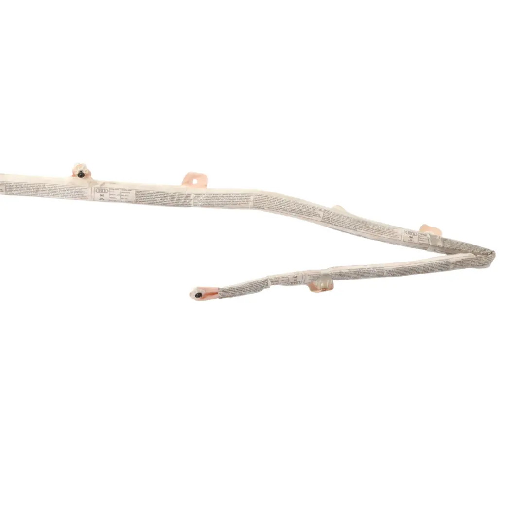 Audi A4 B7 Sedan Headliner Roof Curtain Air Module Left N/S 8E5880741C