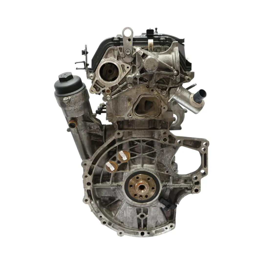BMW F20 F21 F30 114i 116i 316i Benzina N13 Nudo Motore N13B16A GARANZIA