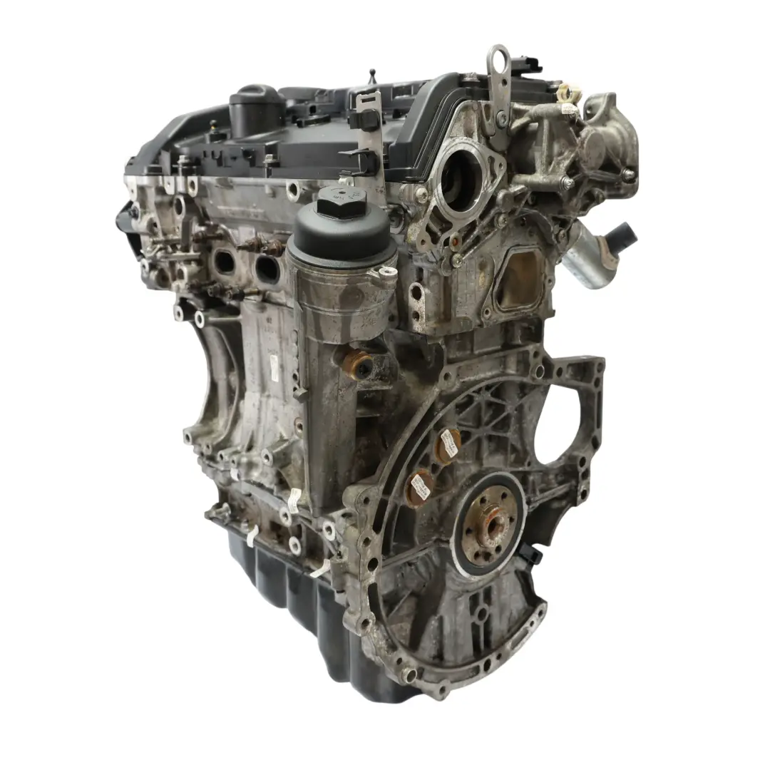 BMW F20 F21 F30 114i 116i 316i Benzina N13 Nudo Motore N13B16A GARANZIA