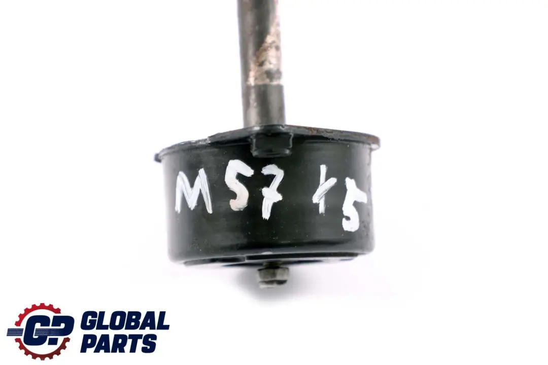 BMW E46 X5 E53 3.0d M57 Tensor de la correa del alternador 2354130