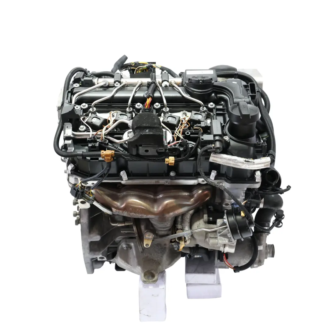 BMW F11 LCI 520i F22 220i F30 320i F32 N20 Motore Completo N20B20B 10k, GARANZIA