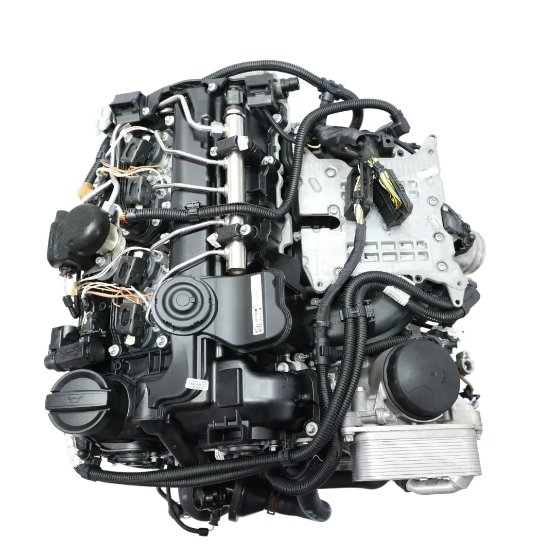 BMW F11 LCI 520i F22 220i F30 320i F32 N20 Motore Completo N20B20B 10k, GARANZIA