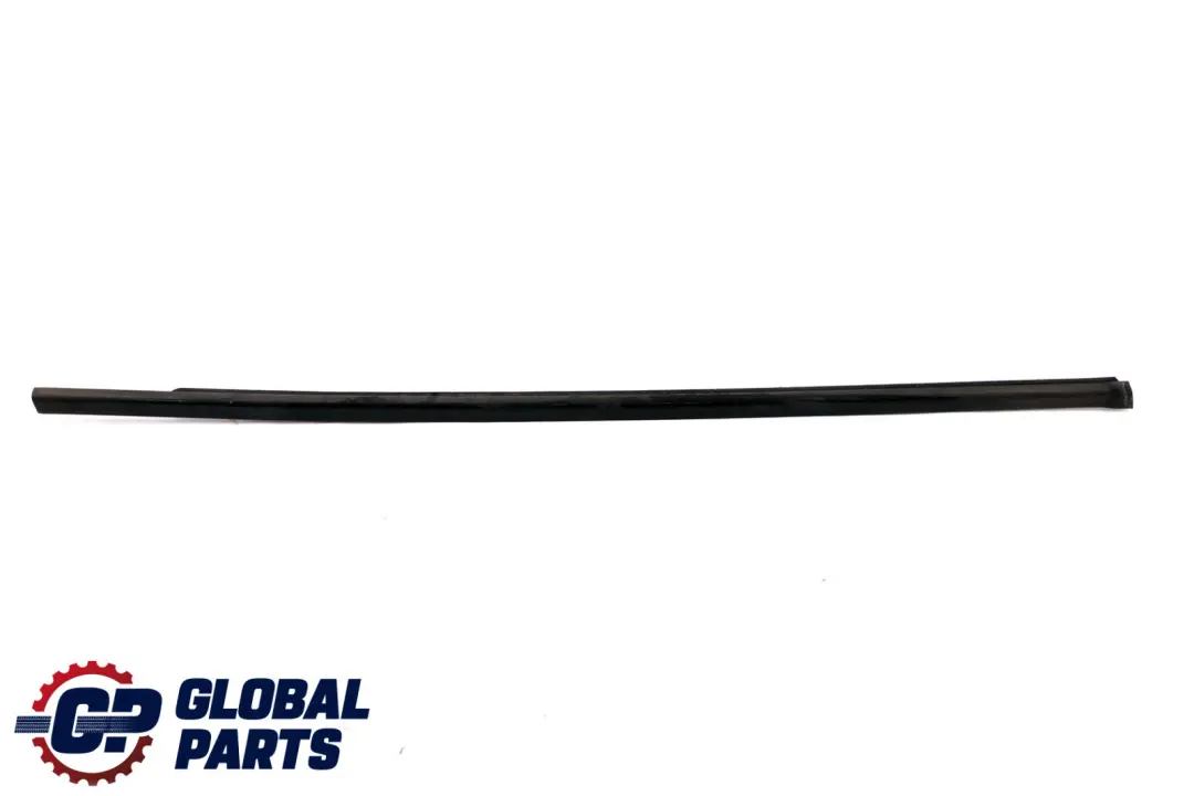 BMW X1 Series E84 Channel Cover Door Front Right O/S Weatherstrip 2990304