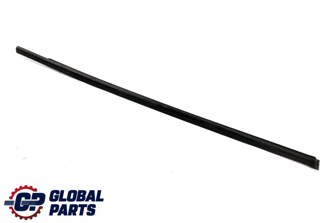 BMW X1 Series E84 Channel Cover Door Front Right O/S Weatherstrip 2990304