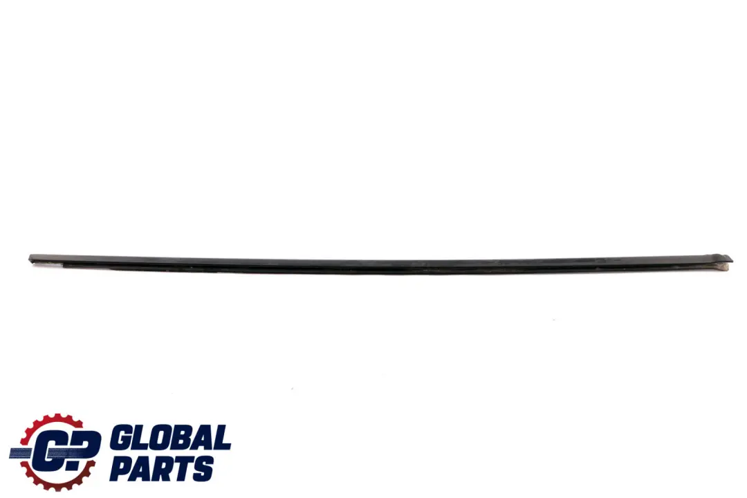 BMW X1 Series E84 Channel Cover Door Front Right O/S Weatherstrip 2990304