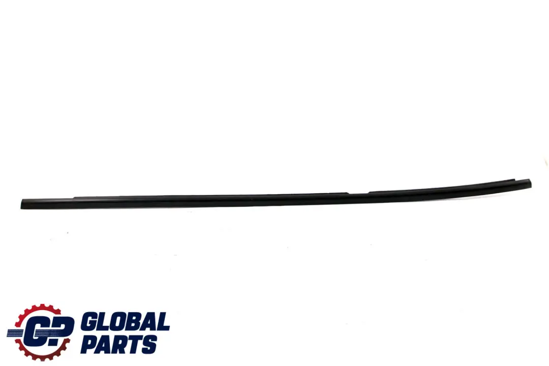 BMW X1 Series E84 Outer Weatherstrip Rear Left Door N/S 2990315