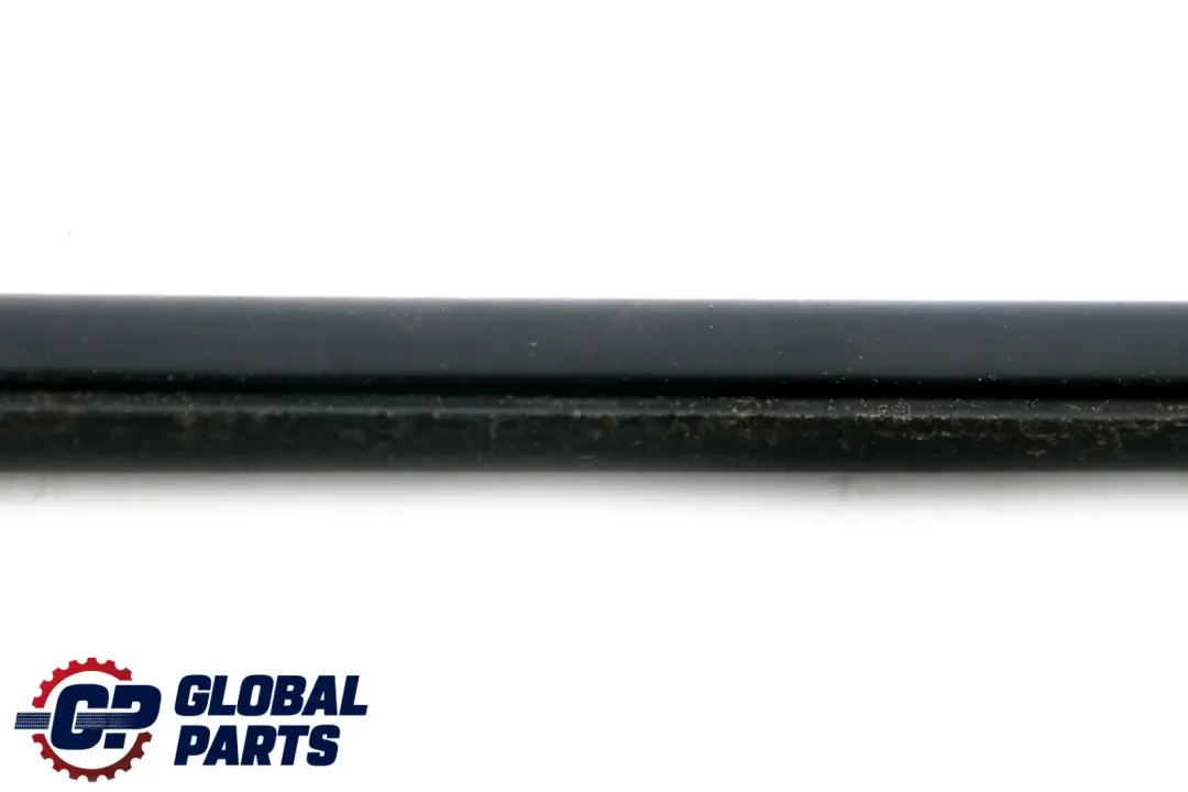 BMW X1 Series E84 Outer Weatherstrip Rear Left Door N/S 2990315