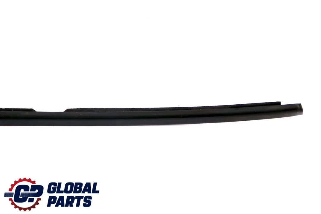 BMW X1 Series E84 Outer Weatherstrip Rear Left Door N/S 2990315