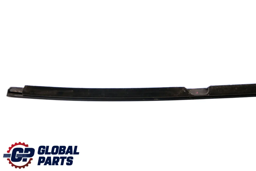 BMW X1 Series E84 Outer Weatherstrip Rear Left Door N/S 2990315