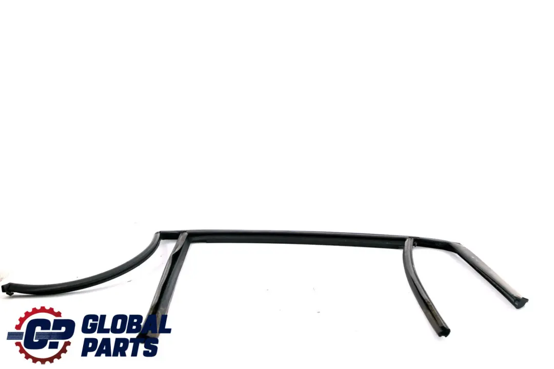 BMW X1 E84 Joint de guide de fenetre Porte arriere gauche 2990319