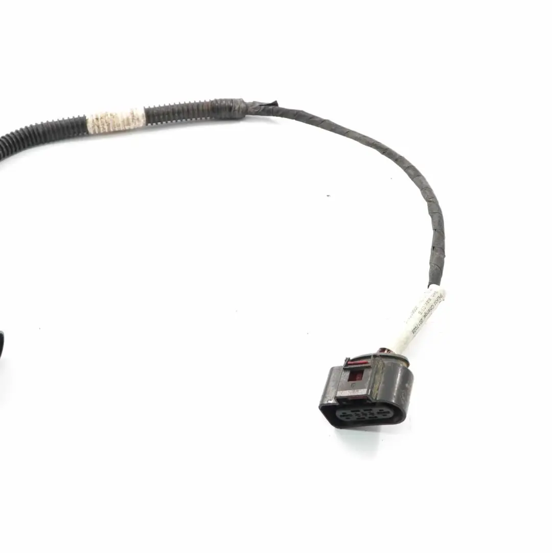 VW Volkswagen Crafter 1 Mazo de cables Cable 2N0971068