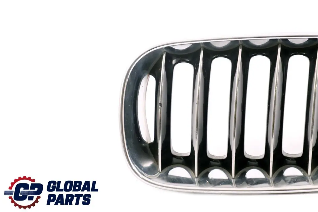 BMW X3 Series E83 1 Front Bumper Centre Grille Kidney Left N/S Chrome 3402909