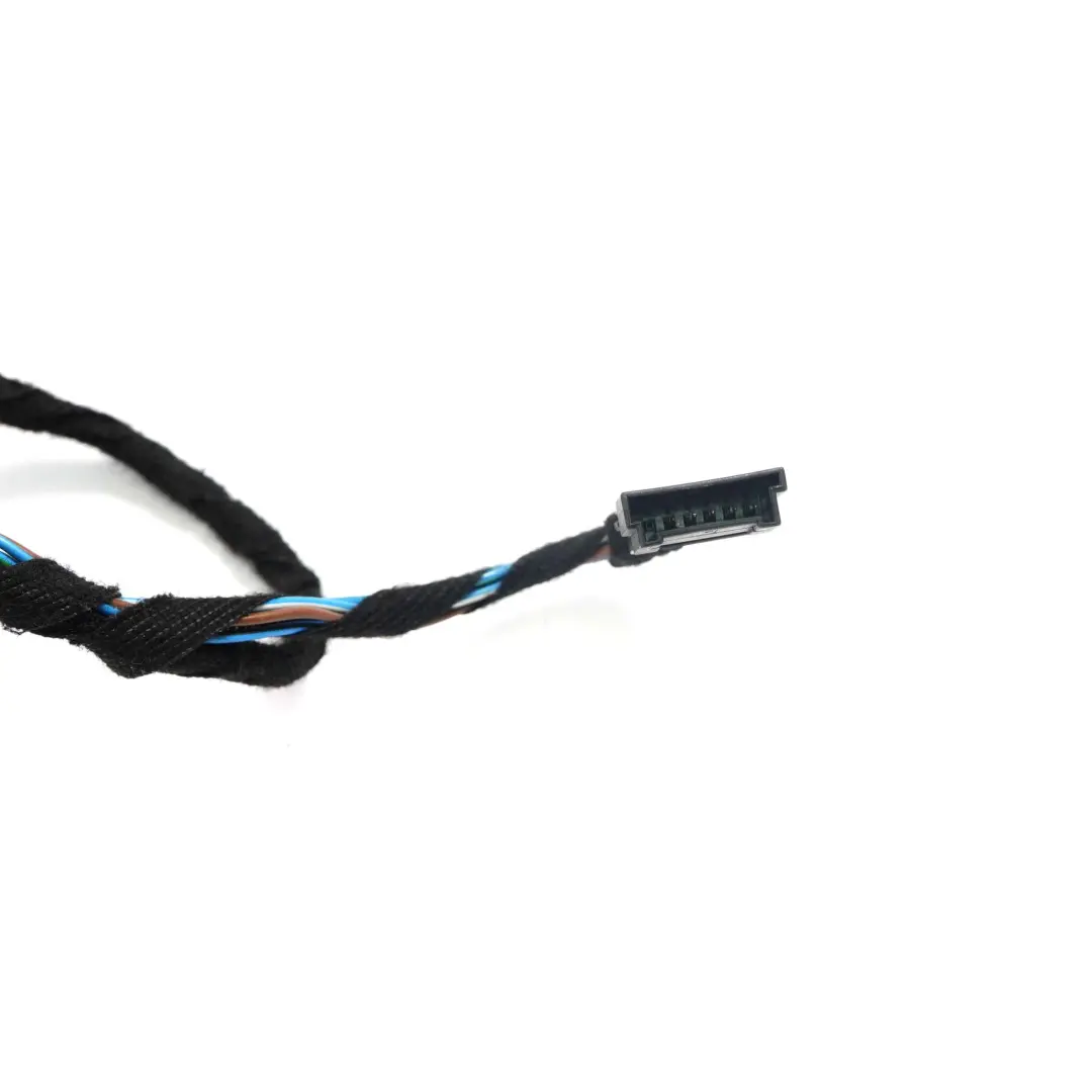 BMW X3 E83 LCI Cable Loom Puerta Pasajero Lado Mazo De cables 3450838